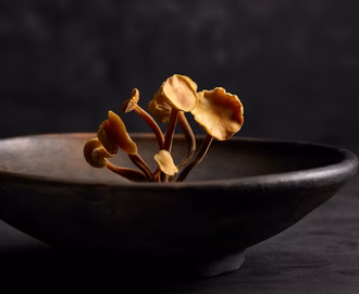 enoki_020425