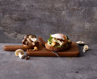 gebratene_pilze_mit_krautercreme_und_ei_auf_brot_010425_website